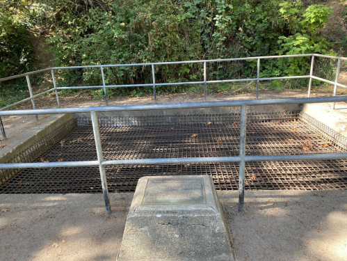 A fenced-off area with a metal grate, surrounded by greenery and trees in a natural setting.