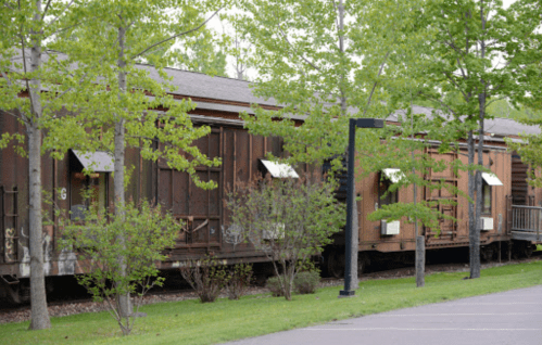 Rusty train cars lined with greenery and trees, set against a backdrop of a grassy area.