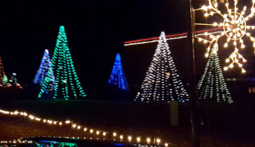 Colorful Christmas trees illuminated with lights in a dark setting, with additional string lights in the foreground.