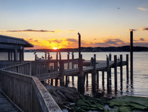 Sunset over a calm waterfront with a wooden pier and silhouettes of birds perched on the railing.