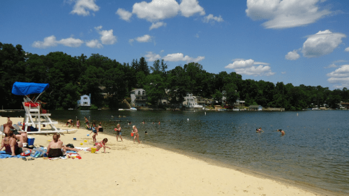 A sunny beach scene with people swimming and relaxing on the sand, surrounded by trees and houses along the shore.