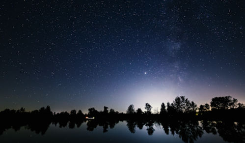 A starry night sky reflected in calm water, with silhouettes of trees along the horizon and a hint of the Milky Way.