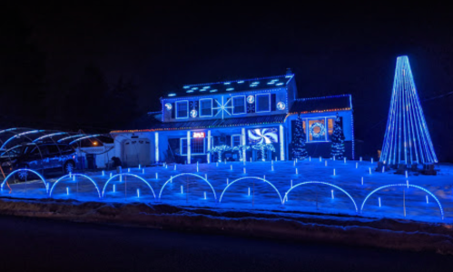 A house decorated with blue Christmas lights, featuring a lit tree and illuminated pathways in a snowy landscape.