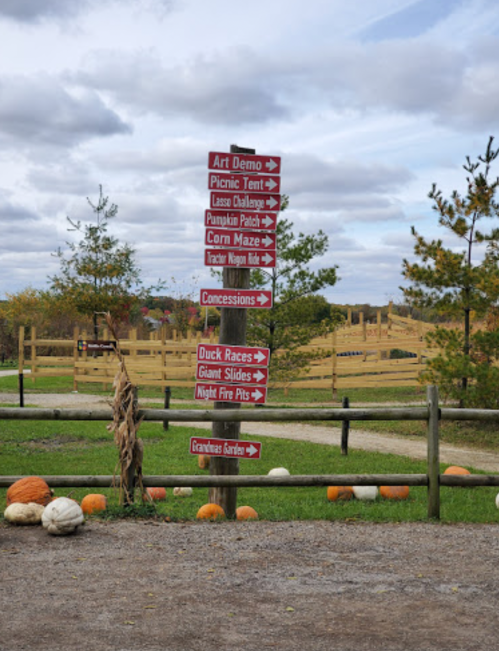 Signpost with directional arrows for various activities at a pumpkin patch, including art demos, races, and concessions.