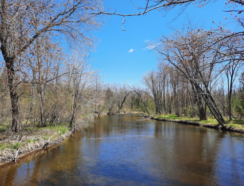A serene river flows through a forested area, with bare trees and a clear blue sky above.