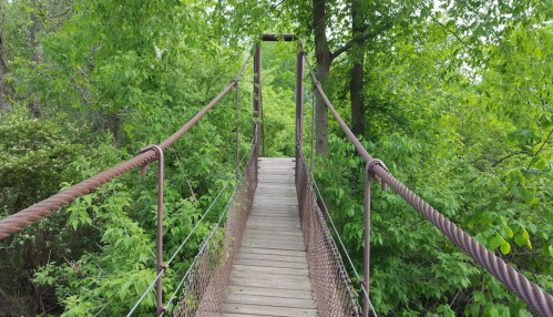 A narrow suspension bridge surrounded by lush green trees and foliage.