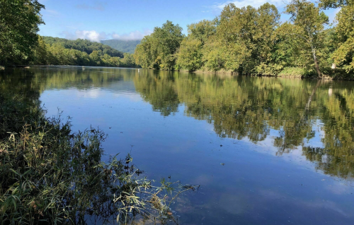 A serene river scene with clear water reflecting lush green trees and a blue sky in the background.