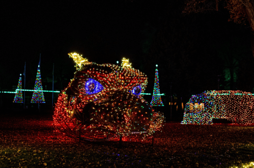 A large dragon head made of colorful lights, surrounded by illuminated trees in a dark park setting.