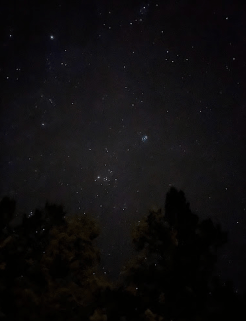 A starry night sky filled with stars and a faint nebula, silhouetted by dark tree outlines at the bottom.