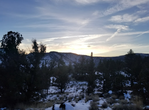 A scenic view of a sunset over snow-covered mountains, framed by trees and a clear sky with wispy clouds.