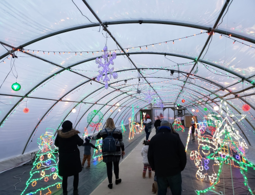 A festive greenhouse decorated with colorful Christmas lights, featuring trees and snowflakes, with visitors walking through.