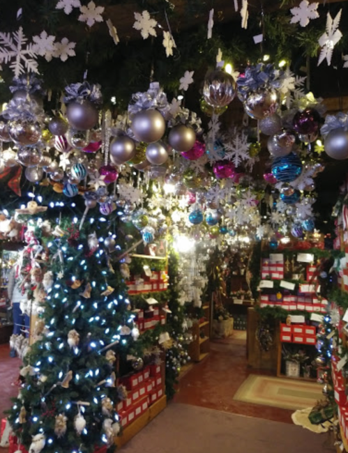 A festive shop filled with decorated Christmas trees, colorful ornaments, and twinkling lights.
