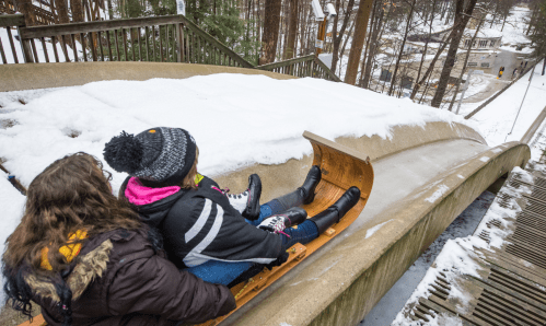 Two people slide down a snowy toboggan run surrounded by trees, enjoying a winter day outdoors.