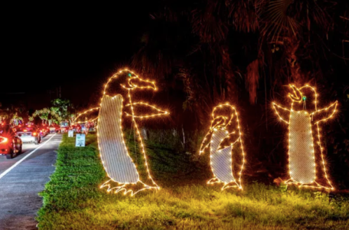 Three illuminated penguin figures made of lights stand by the roadside, surrounded by greenery at night.