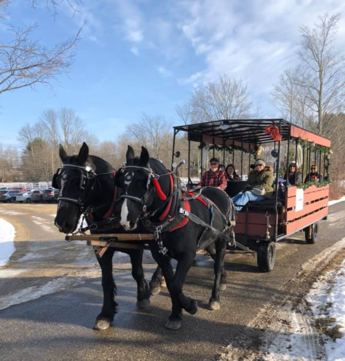 A horse-drawn carriage with passengers travels down a snowy path surrounded by trees.