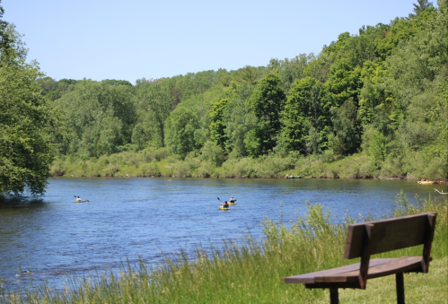 A serene river scene with kayakers paddling, surrounded by lush green trees and a wooden bench in the foreground.