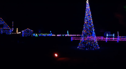 A brightly lit Christmas tree surrounded by colorful holiday lights in a dark night setting.