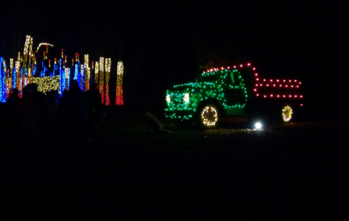 A brightly lit truck decorated with colorful lights, surrounded by illuminated trees in a dark setting.