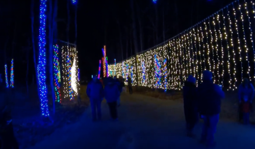 A festive pathway illuminated by colorful holiday lights, with people walking through a wooded area at night.