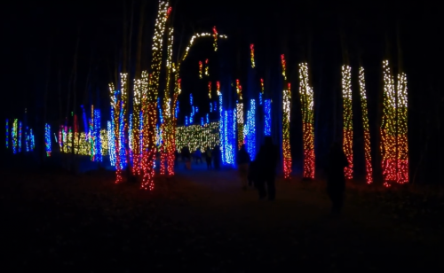 A nighttime scene with colorful lights illuminating trees, creating a festive atmosphere as people walk through.