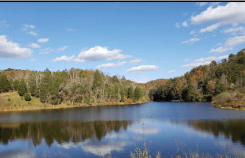 A serene lake surrounded by trees, reflecting a clear blue sky with fluffy clouds and autumn foliage.