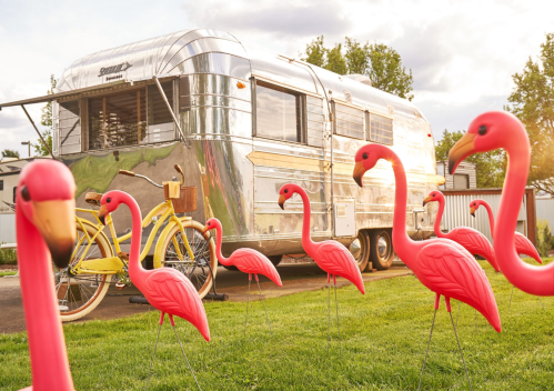 A shiny silver vintage trailer parked beside a yellow bicycle, surrounded by bright pink flamingo lawn ornaments.