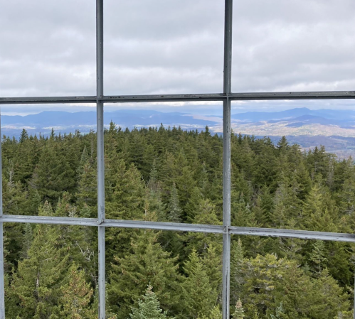 View of a dense forest through a window frame, with distant mountains under a cloudy sky.