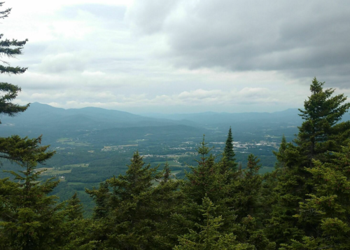 A panoramic view of mountains and valleys under a cloudy sky, framed by evergreen trees in the foreground.