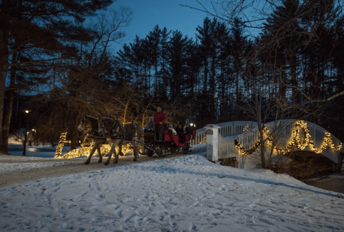 A horse-drawn carriage on a snowy path near a bridge adorned with lights, surrounded by trees at dusk.
