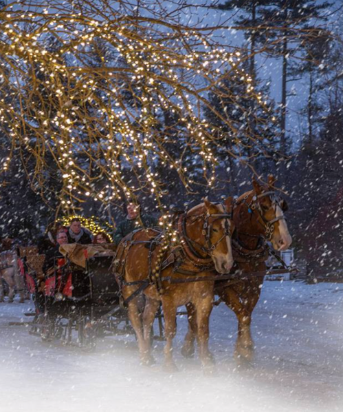 Two horses pull a festive sleigh through a snowy landscape, illuminated by twinkling lights in the trees above.