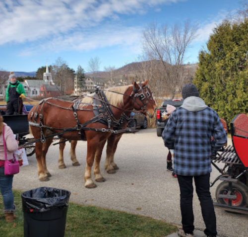 Two horses in harness stand on a road, while people gather nearby, with a scenic backdrop of trees and buildings.