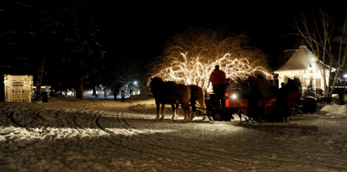 A horse-drawn sleigh rides through a snowy landscape, illuminated by festive lights at night.