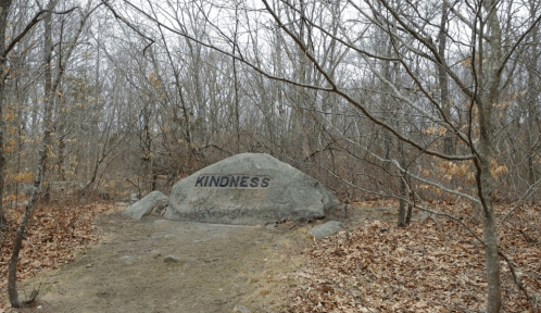 A large rock in a wooded area with the word "KINDNESS" engraved on it, surrounded by bare trees and fallen leaves.