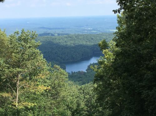 A scenic view of a forested landscape with a lake nestled among the trees under a clear blue sky.