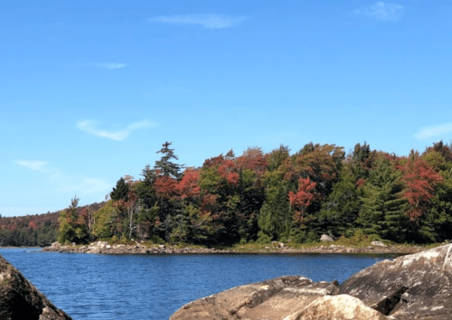 A serene lake scene with colorful autumn trees and rocky shoreline under a clear blue sky.