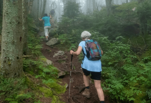 Two hikers ascend a misty forest trail, surrounded by lush greenery and rocky terrain. One uses a walking stick.