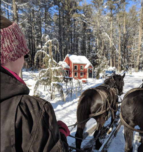 A person in winter attire watches a horse-drawn sleigh near a red cabin in a snowy forest.