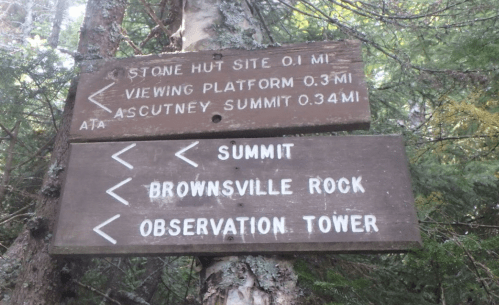 Wooden trail sign in a forest, indicating distances to Stone Hut Site, Viewing Platform, Summit, Brownsville Rock, and Observation Tower.