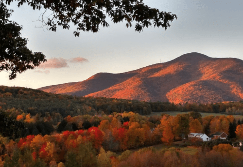 A scenic view of mountains and colorful autumn foliage under a soft sunset sky.