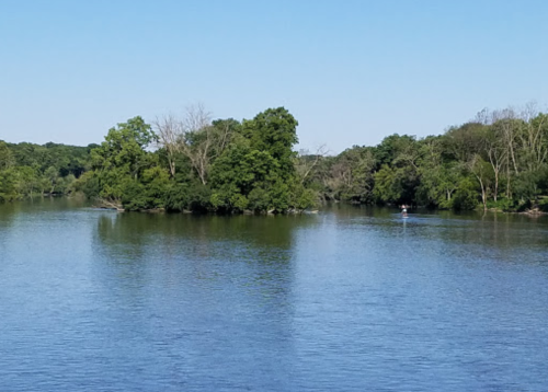 A calm river scene with lush green trees lining the banks under a clear blue sky.