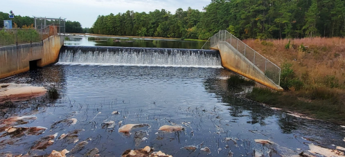 A serene view of a dam with water cascading over it, surrounded by trees and a calm river.
