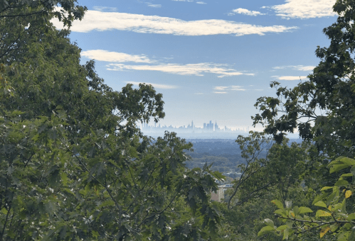 A distant city skyline is visible through green trees under a partly cloudy sky.