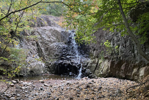 A small waterfall cascades over rocky terrain, surrounded by lush greenery and scattered pebbles on the ground.