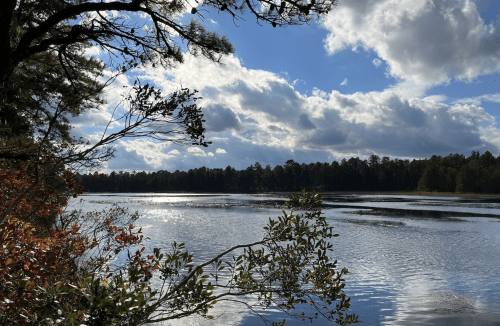 A serene lake scene with clouds reflecting on the water, surrounded by trees and autumn foliage.