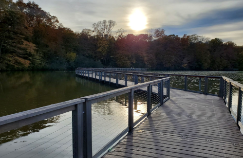 A wooden boardwalk extends over calm water, with trees and a sunset in the background, creating a serene landscape.