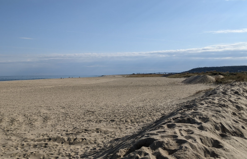 A wide sandy beach under a clear blue sky, with gentle waves in the distance and a few people walking along the shore.