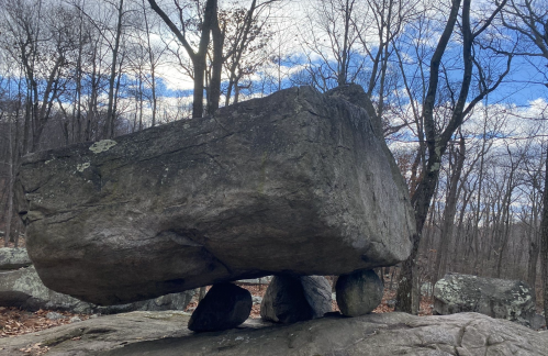 A large, flat rock balanced on smaller stones, surrounded by bare trees and a cloudy sky.