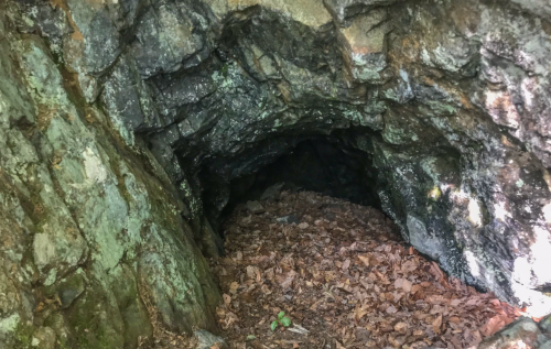 A dark cave entrance surrounded by rocky walls and scattered leaves on the ground.