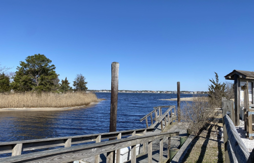 A serene waterfront scene with a wooden walkway, blue water, and clear skies, surrounded by trees and reeds.