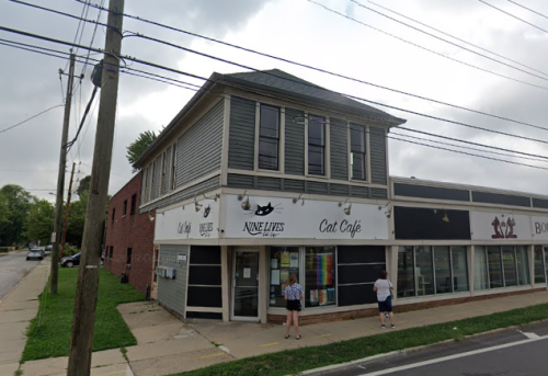 A two-story building with a sign reading "Nine Lives Cat Cafe" and people standing outside on a cloudy day.